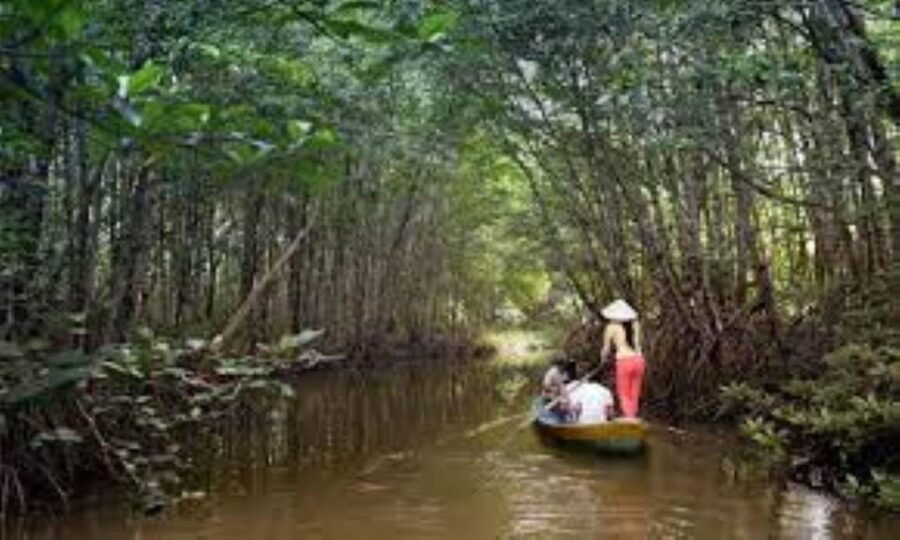 Can Gio Mangrove Forest and Monkey Island Full Day Tour
