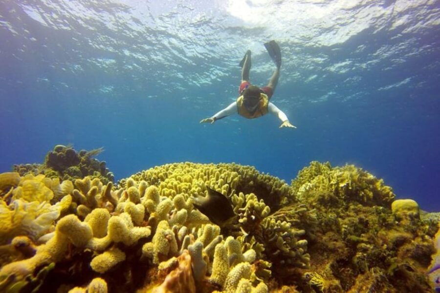 Cancun: 2 Caribbean Islands Combo Tour