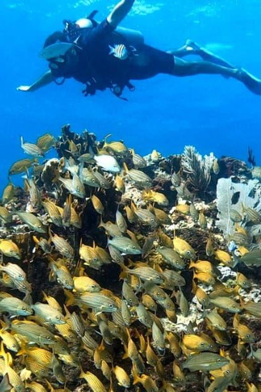 Cancun: 2 Dives: Cenotes The Pit + Nicte HA
