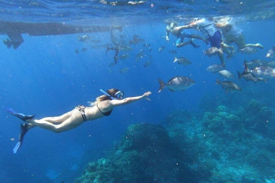 Cancun: 3 Islands Snorkel Adventure