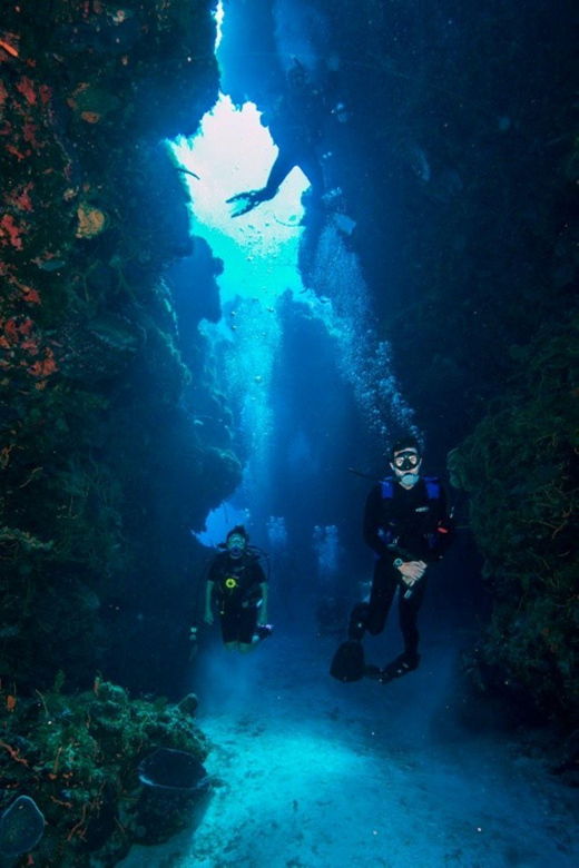 Cancun: Barracuda Dive Expedition