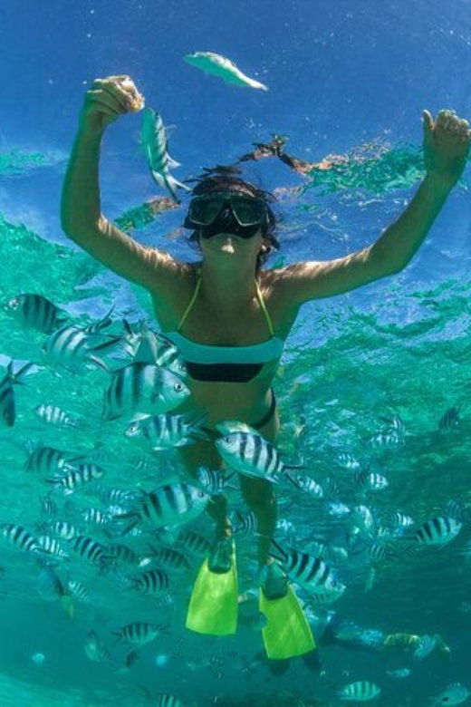 Cancun: Coba & Cenotes + Isla Mujeres Catamaran Combo