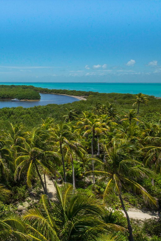 Cancún: Contoy and Isla Mujeres Boat Tour With Snorkelling