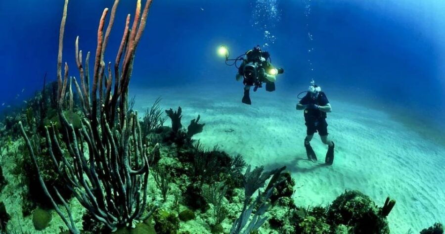 Cancun: Cozumel Diving for Beginners