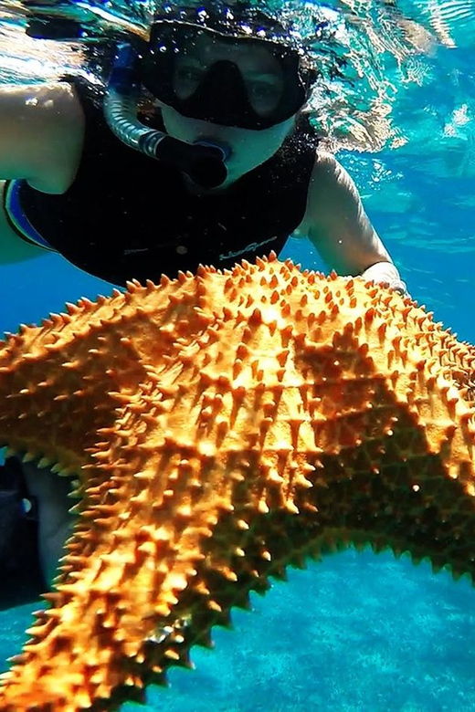 Cancun: Cozumel Island Catamaran, The Sky, Cielito Open Bar - Activity Overview