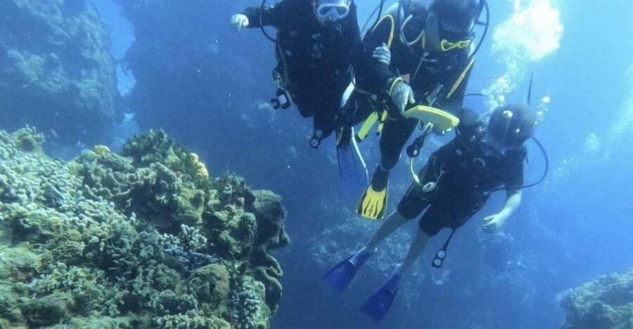 Cancun: Diver Courses in Cancun