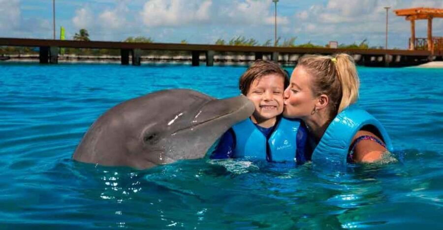 Cancún: Dolphin Swim Adventure