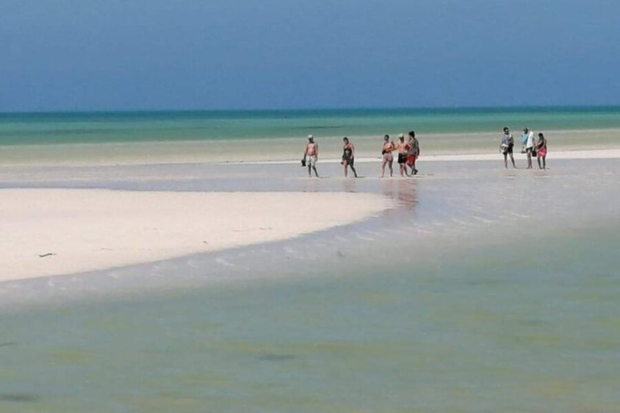 Cancun: Holbox Island, Punta Mosquito Day Trip With Lunch - Overview and Pricing