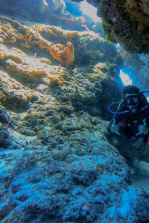 Cancun: PADI Enriched Air Nitrox Course