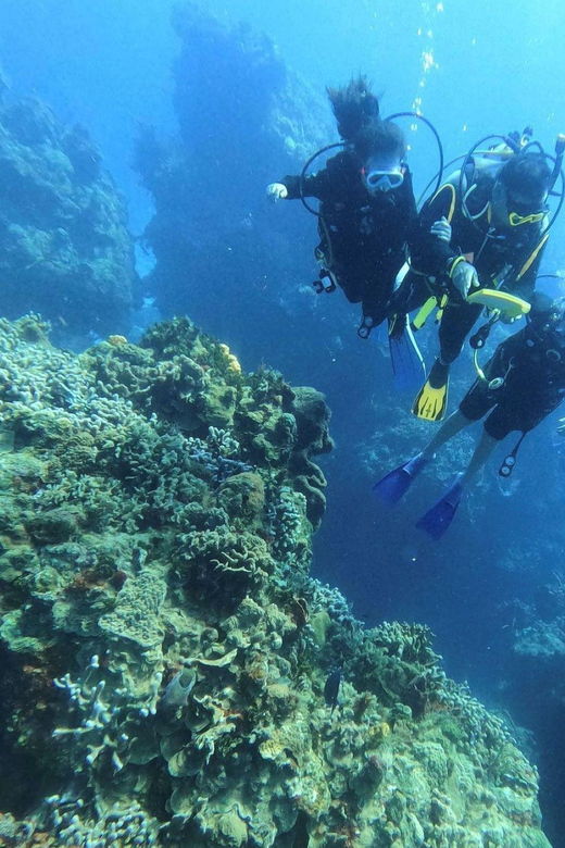Cancun: Parrotfish Adventure Package