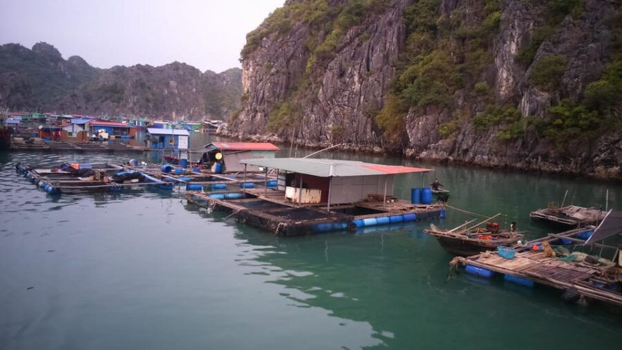 Cat Ba: 2-Day Lan Ha Bay Cruise With Plankton Excursion - Overview and Pricing