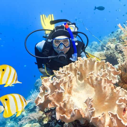 Catalina Island Full-Day Diving Tour + Lunch From Punta Cana - Tour Overview and Pricing
