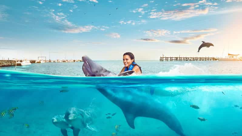 Catamaran to Isla Mujeres and Swim With Dolphins Adventure
