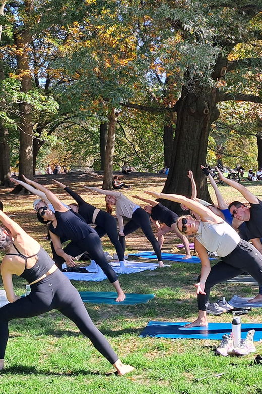 Central Park, New York: Yoga Classes in the Park Since 2012 - Overview of The Yoga Trail