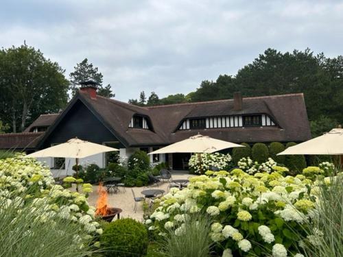 César's Pines - The Campaign of Étretat - Hotel Overview