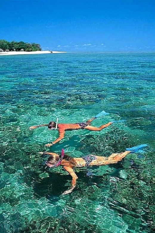 Cham Islands: Experience Underwater Snorkeling Excursion