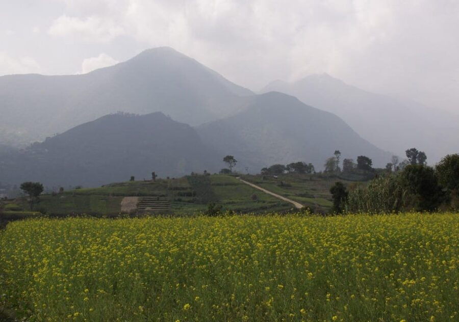 Champa Devi Hill Hike – A Private Hiking Trip