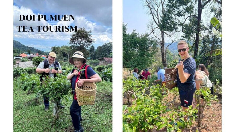 Chiang Mai: 2-Day LAHU Tribe & Tea Tourism Experience