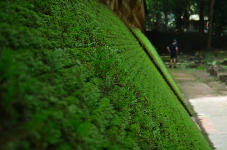 Chiang Mai: 4-hour Doi Suthep, Wat Umong, & Wat Phalat Tour