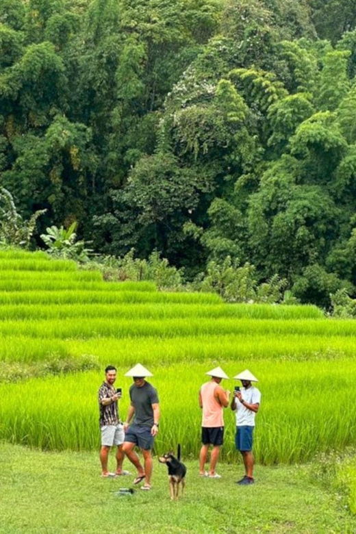 Chiang Mai: Doi Inthanon Park and Pha Dok Siew Trail Trek