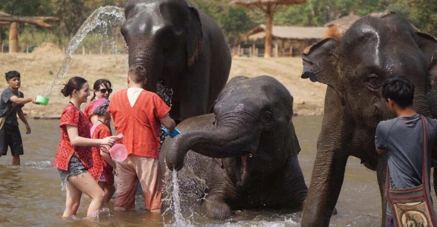 Chiang Mai: Elephant Care & Long Neck &Sticky Waterfall Tour