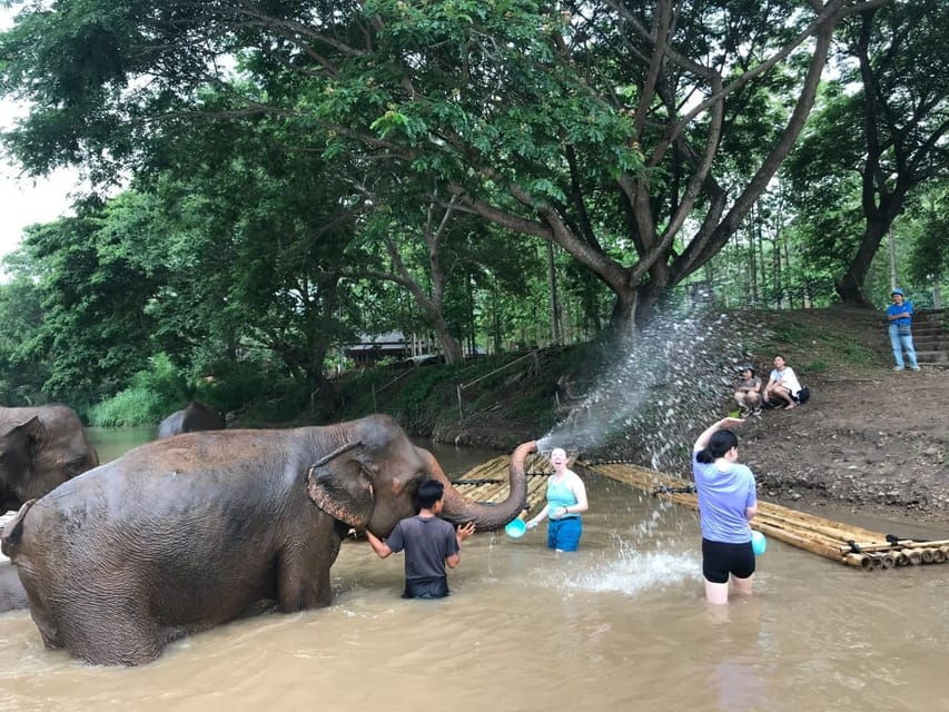 Chiang Mai: Elephant Tour, ATV, Rafting, Waterfall - Tour Overview and Pricing