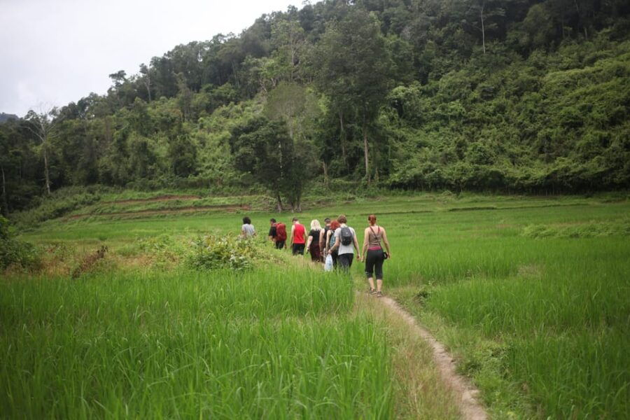 Chiang Mai: Full-Day Hill Tribe Countryside Villages Tour