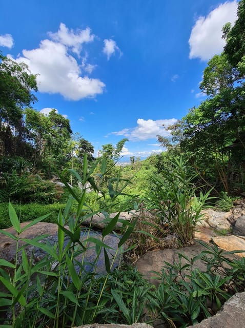 Chiang Mai: Hike Monks Trails, Cliff Jump & Michelin Lunch