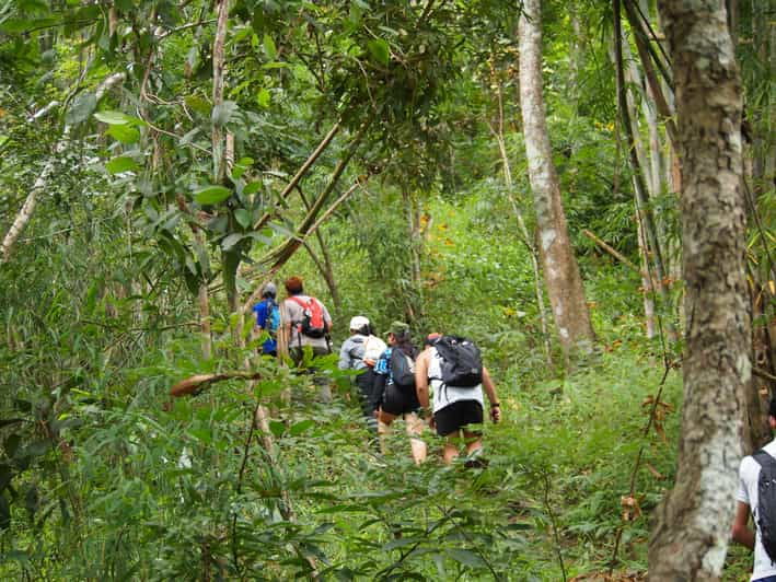 Chiang Mai: Hilltribe Hiking and Kayaking Day Trip - Trip Overview