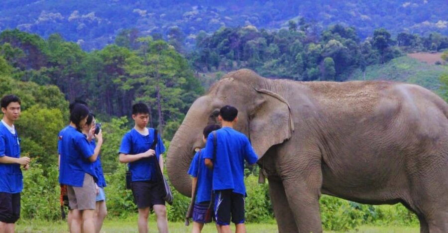 Chiang Mai: Living Green Elephant Sanctuary & Intanon Hiking