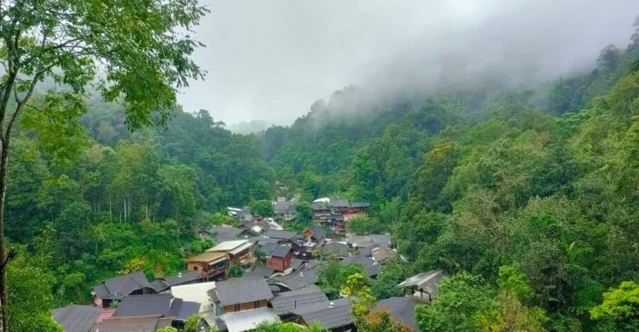 Chiang Mai: Mae Kampong Village, Hot Springs & Bor Sang Tour - Tour Overview and Pricing