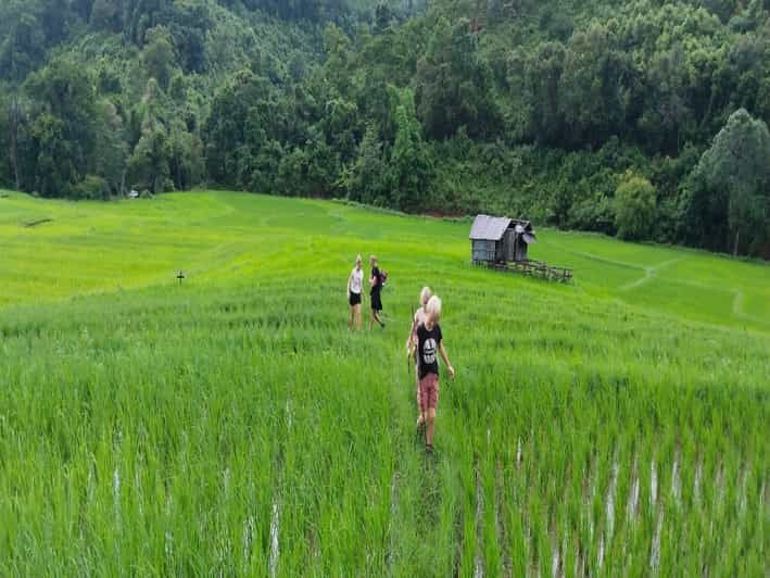 Chiang Mai Trekking (Non-touristic Trail) - Overview of Chiang Mai Trekking
