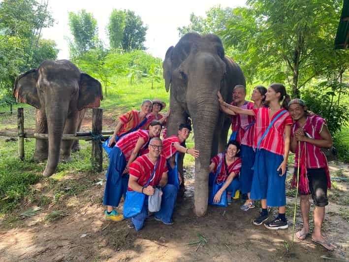 Chiang Rai:Experience the Way of the Elephants [Half-Day]