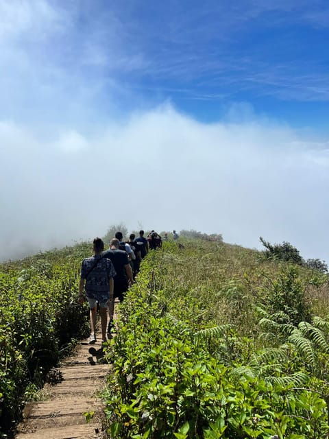 ChiangMai: DoiInthanon National Park & 2Hrs Hiking KewMaePan