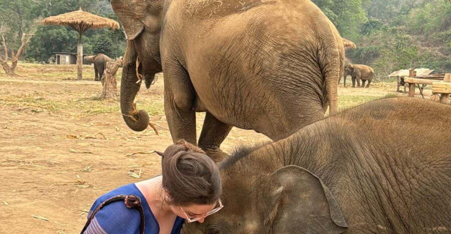 Chiangmai : Elephants, Ele Poo Paper & Sticky Waterfalls