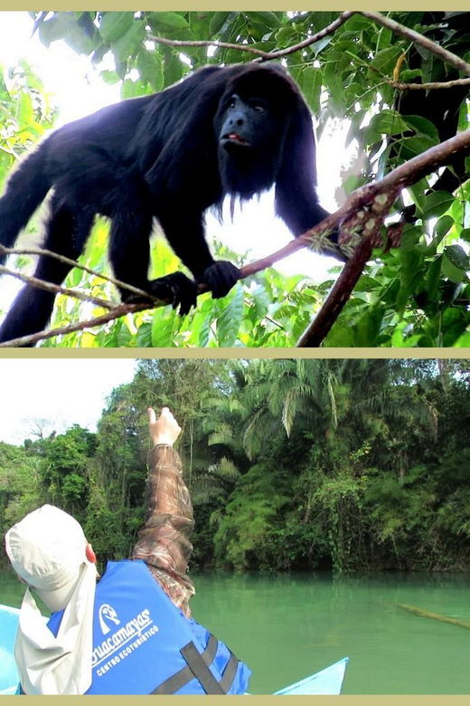 Chiapas: Private Nature Tour 4 Days and 3 Nights