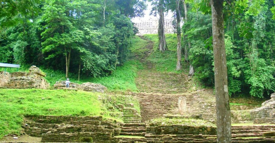 Chiapas: Tour 5 Days 4 Nights Includes Bonampak and Yaxchilan - Tour Overview