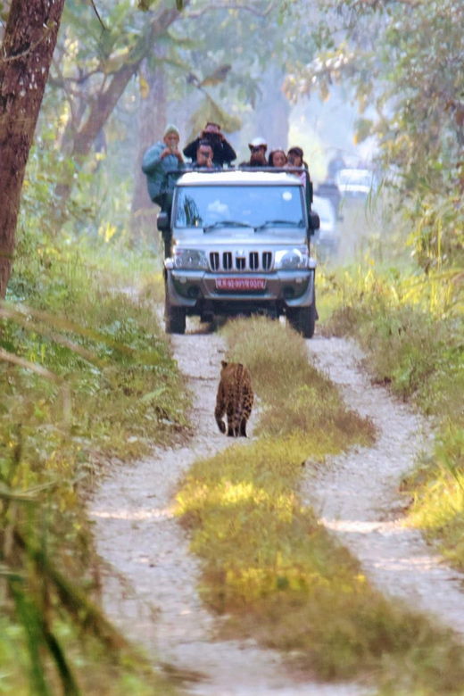Chitwan: 3-Day Chitwan National Park Safari Tour