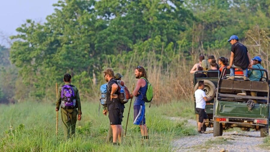 Chitwan: Canoeing, Jungle Walk, and Jeep Safari Day Trip