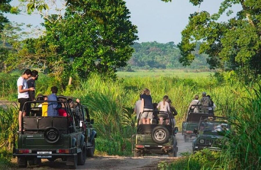 Chitwan Jungle Safari 2 Nights 3 Days From Kathmandu