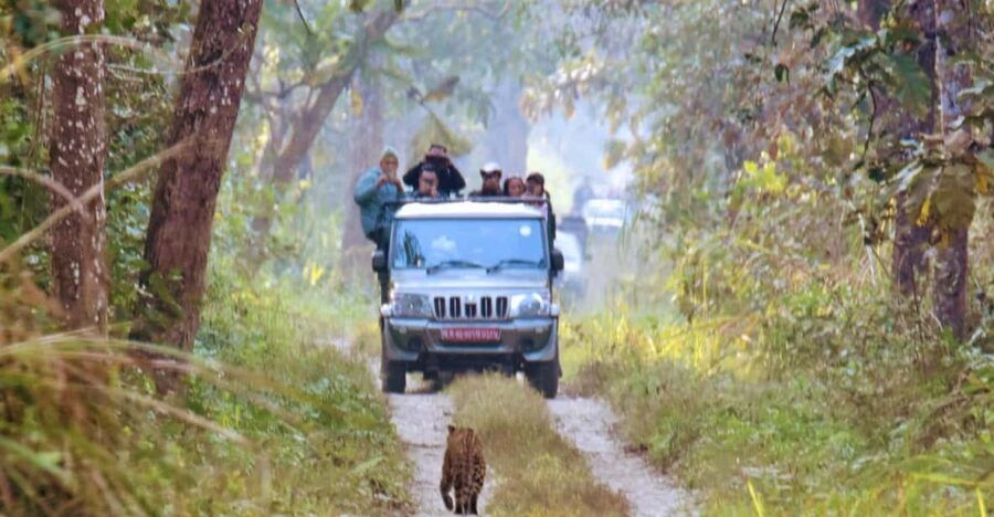 Chitwan National Park: Jeep Safari Tour With Guide