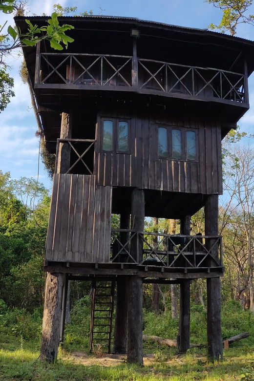 Chitwan National Park: Night Stay in Jungle Tower at Chitwan