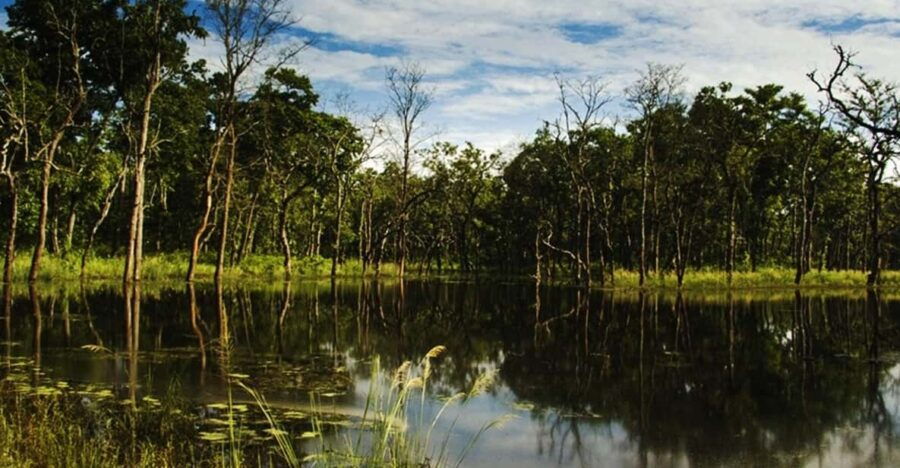 Chitwan National Park Tour With Hotel Transfers – 2N & 3D
