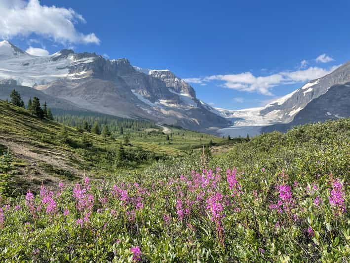Columbia Icefield: Guided Glacier Hike