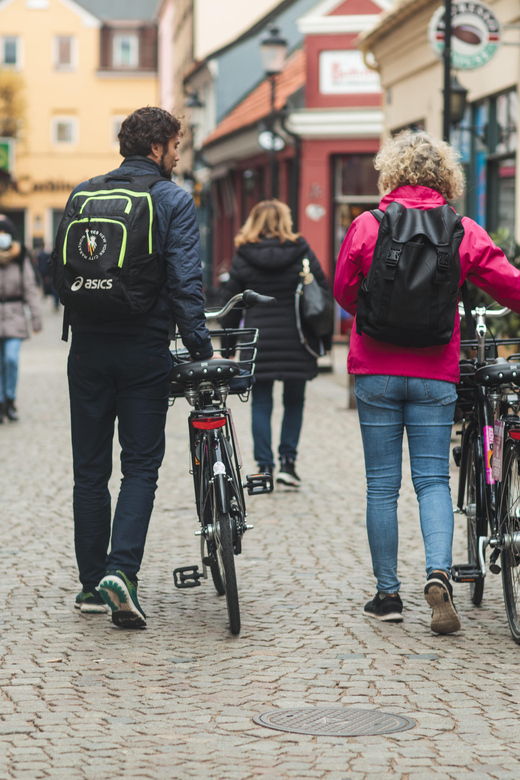 Copenhagen – Helsingborg, 1 Day Self-Guided