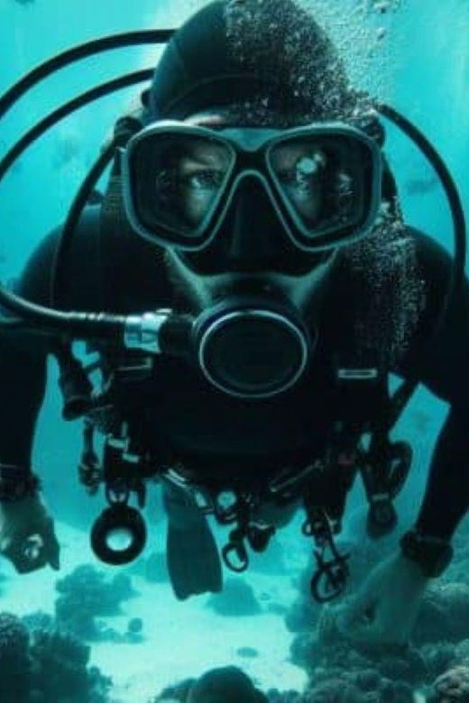 Cozumel: Diving Experience From Boat - Overview of Activity