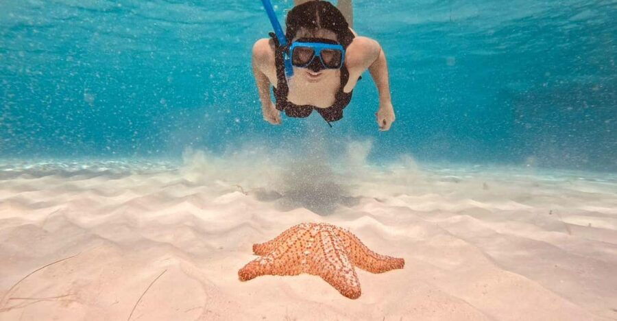 Cozumel: Palancar, Cielo, and Cielito Snorkeling PRIVATE - Tour Overview and Pricing