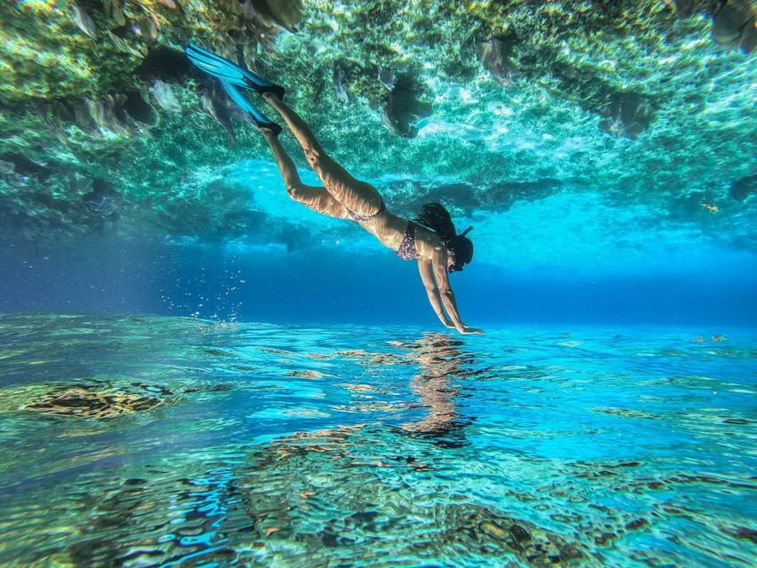 Cozumel: Snorkeling Tour at El Cielo Beach