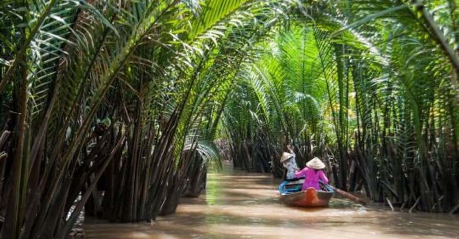 Cu Chi Tunnels and Mekong Delta Tour