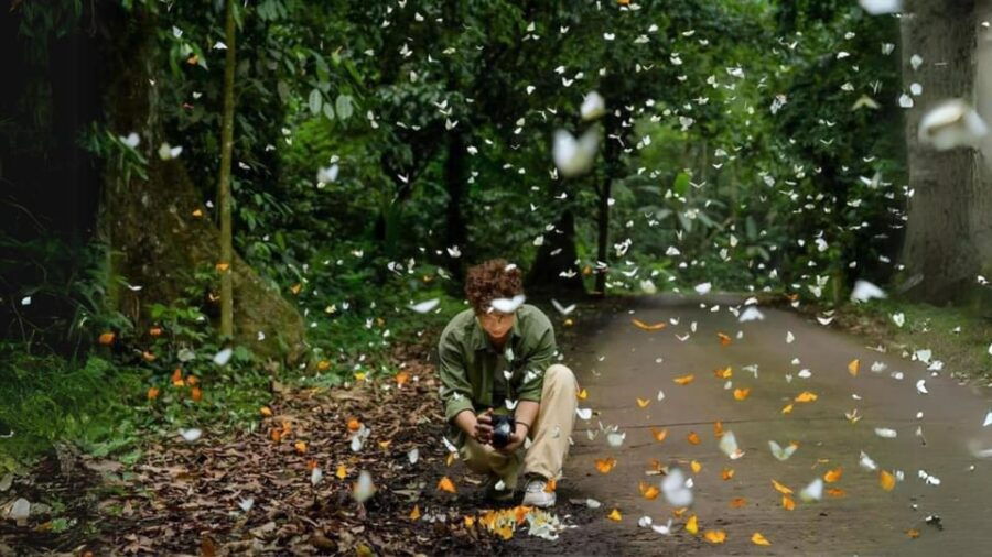 Cuc Phuong National Park Group Day Tour In Ninh Binh